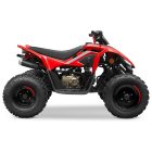 CFMOTO CFORCE 110 GYEREK QUAD